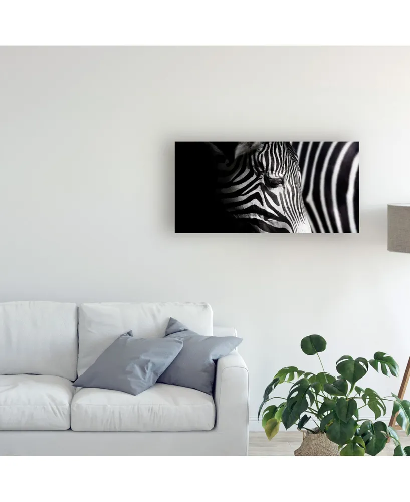 Takashi Suzuki Overlap of Stripes Canvas Art