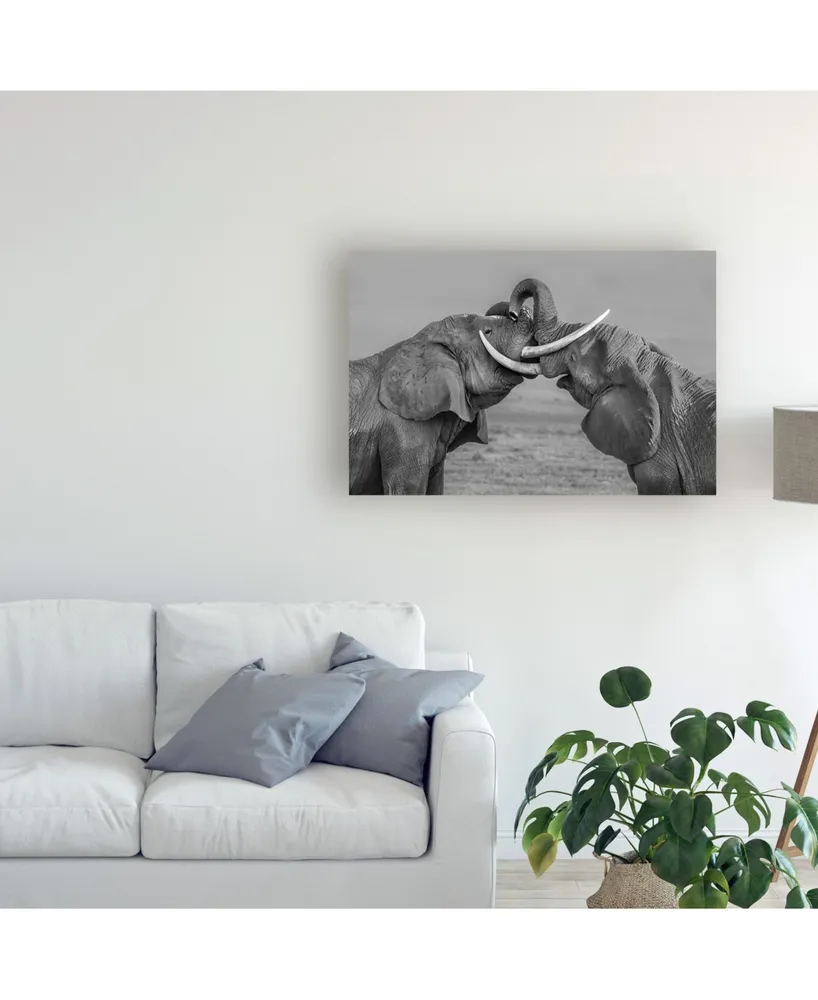 Yun Wang Elephants Fighting Canvas Art