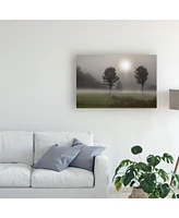 Monte Nagler Two Trees and Sunburst Logan Ohio Canvas Art