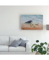 Patrick Sullivan 1 Seagull Canvas Art