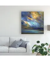 Sheila Finch Coastal Clouds 30 Canvas Art - 15.5" x 21"