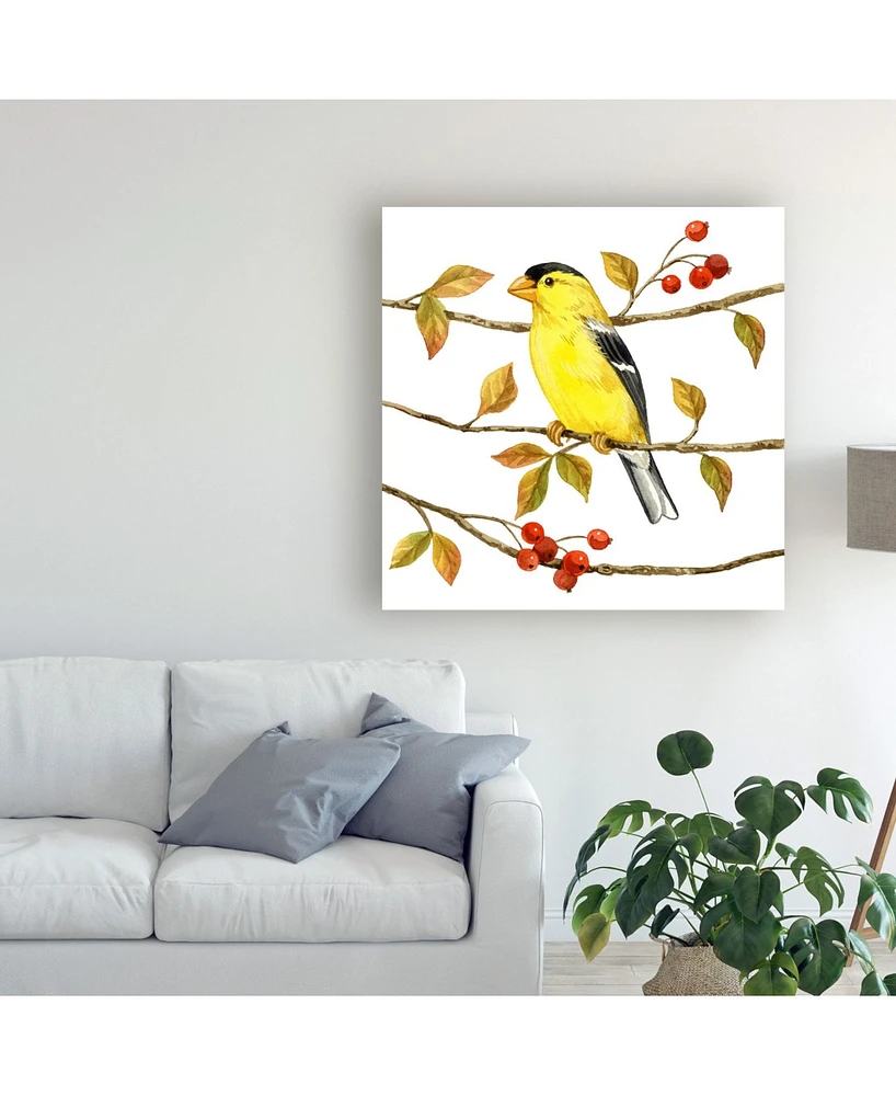 Jane Maday Birds and Berries Ii Canvas Art - 36.5" x 48"