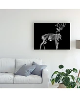 Julie Chapman The Prize Deer Canvas Art - 19.5" x 26"