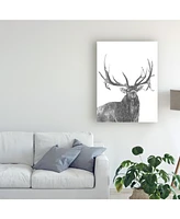 Naomi McCavitt Wildlife Snapshot Elk Canvas Art - 19.5" x 26"