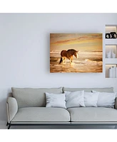 Ph Burchett Sunkissed Horses V Canvas Art - 36.5" x 48"