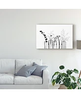 1X Prints Black Flowers on White Background Canvas Art - 37" x 49"