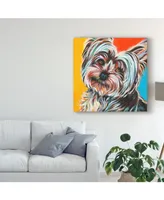 Carolee Vitaletti Sweet Yorkie Ii Canvas Art - 15" x 20"