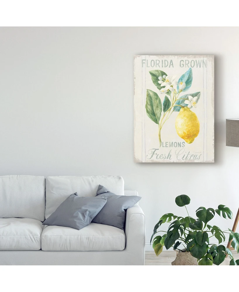 Danhui Nai Floursack Lemon I Canvas Art - 20" x 25"