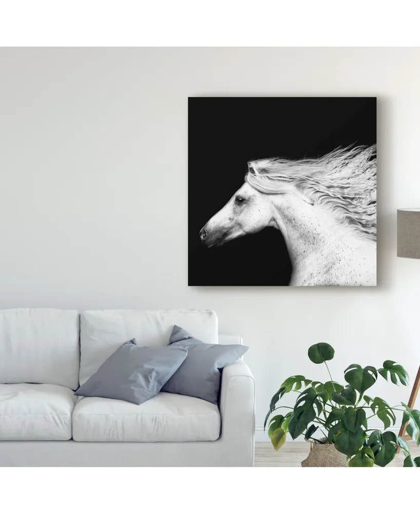 Ph Burchett Black and White Horses V Canvas Art