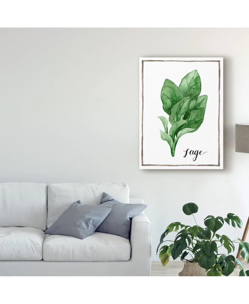 Grace Popp Watercolor Herbs Vi Canvas Art