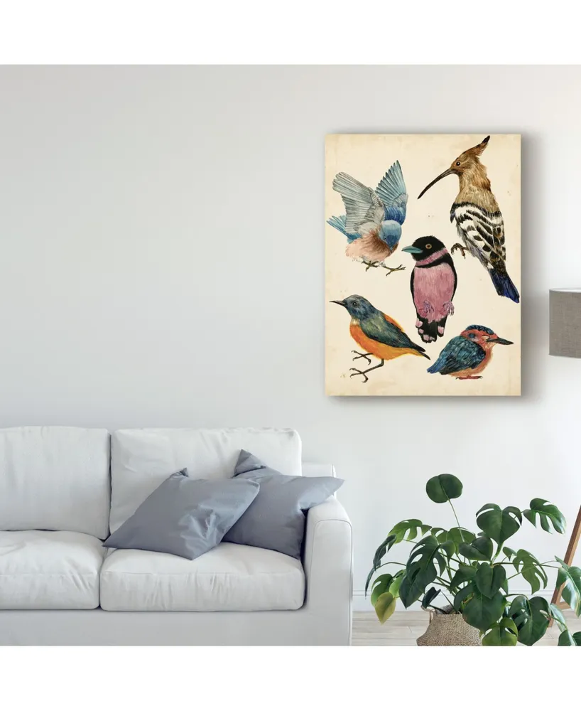 Melissa Wang Bird Collection I Canvas Art - 15" x 20"