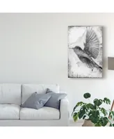 Ingrid Blixt B&W Flight Ii Canvas Art - 15" x 20"