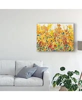 Tim Otoole Golden Summer Garden I Canvas Art