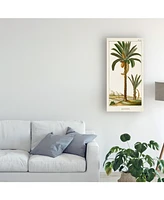 Turpin Turpin Exotic Palms Iv Canvas Art - 20" x 25"