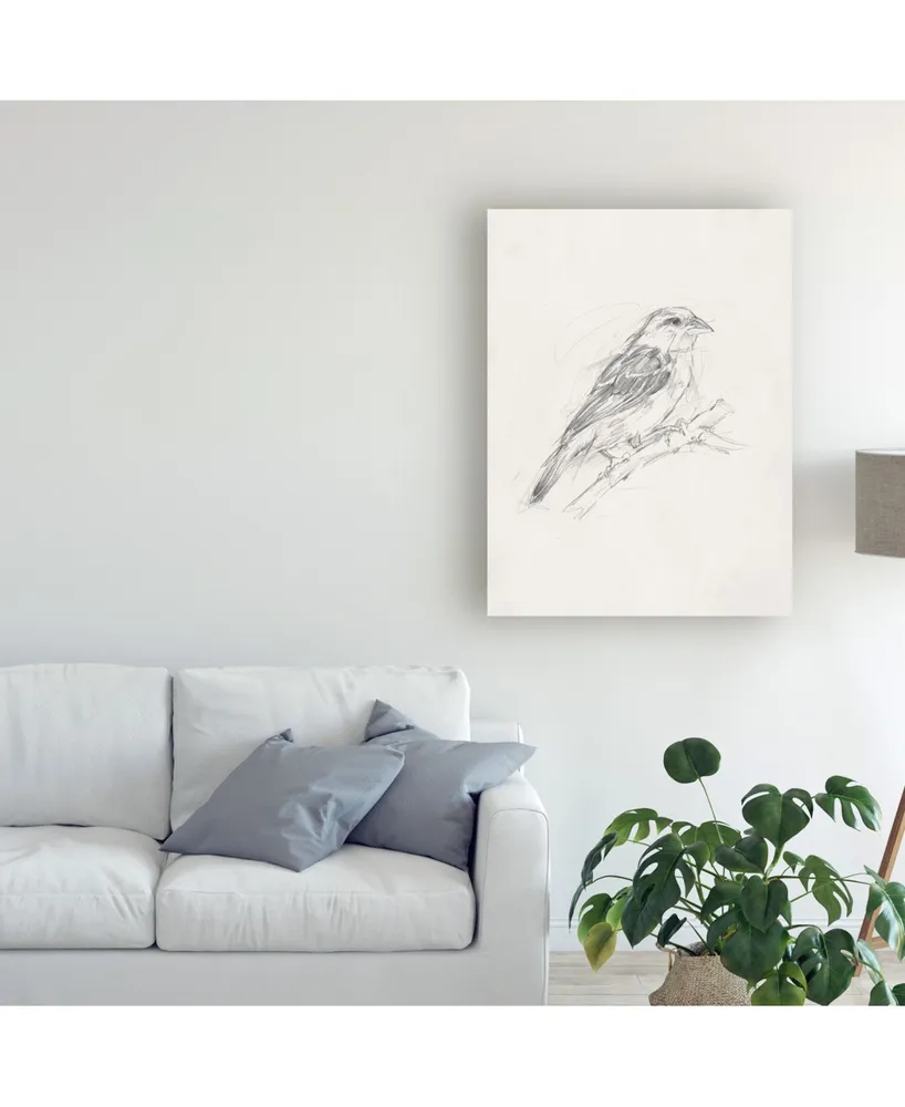 Ethan Harper Avian Study Ii Canvas Art - 37" x 49"