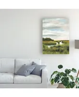 Naomi Mccavitt Marsh Landscapes I Canvas Art