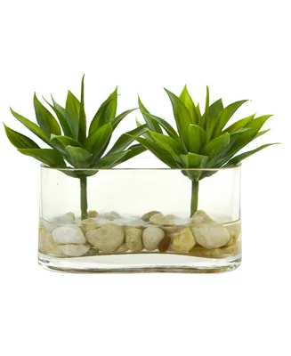 Nearly Natural 6.5-In. Mini Agave Succulent Artificial Arrangement in Glass Vase