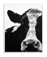 Stupell Industries Cow Black and White Close Up Wall Plaque Art, 10" x 15"