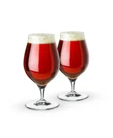 Spiegelau Craft Beer Barrel Aged Tulip Glass, Set of 2, 17.7 Oz