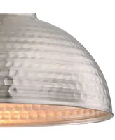 Westinghouse Lighting One-Light Indoor Pendant