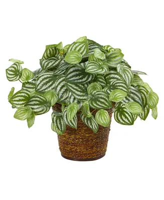 Nearly Natural 13" Watermelon Peperomia Artificial Plant in Basket Real Touch