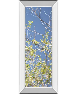 Classy Art Spring Poplars Iv by Sharon Chandler Mirror Framed Print Wall Art - 18" x 42"