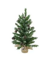 Northlight 24" Frosted Norway Pine with Pine Cones Artificial Christmas Tree in Burlap Base - Unlit