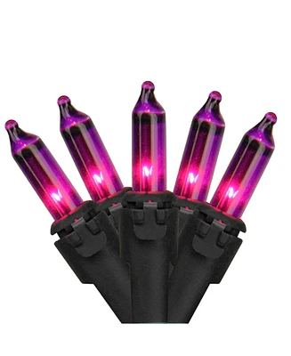 Northlight Set of 100 Purple Mini Incandescent Christmas Lights 2.5" Spacing - Black Wire