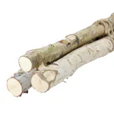 Northlight Set of 3 Birch Wood Branches in a Bundle Christmas Display
