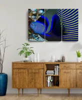 Ready2HangArt Underwater Bleus 3 Piece Wrapped Canvas Sea Life Wall Art Set, 24" x 36"