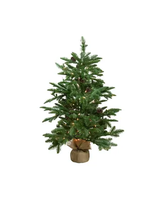 Northlight 3' Pre-Lit Viella Norway Spruce Artificial Christmas Tree - Clear Lights