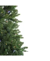 Northlight 9' Pre-Lit Instant Connect Led Neola Fraser Fir Artificial Christmas Tree - Dual Lights