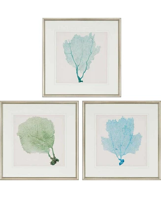 Paragon Sea Fan I Framed Wall Art Set of 3, 25" x 25"