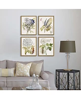 Paragon Lacy Leaves Framed Wall Art Set of 4, 21" x 17"