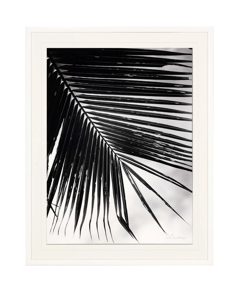 Paragon Palm Frond Ii Framed Wall Art, 49" x 39"