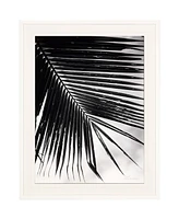 Paragon Palm Frond Ii Framed Wall Art, 49" x 39"