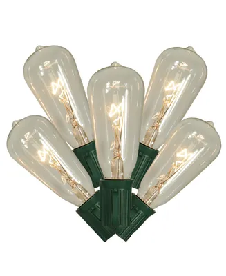 Northlight 10 Transparent Clear Edison Style Glass Christmas Lights - 9 ft Green Wire
