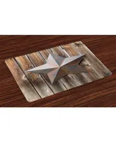 Ambesonne Primitive Country Place Mats