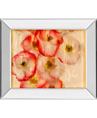 Classy Art Papaver Dreams Iii by Harold Davis Mirror Framed Print Wall Art, 22" x 26"