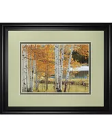 Classy Art Birch Beauty by Mike Jones Framed Print Wall Art, 34" x 40"