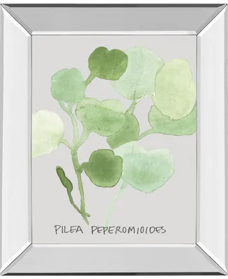 Classy Art Pilea Peperomioides by Katrien Soeffers Mirror Framed Print Wall Art, 22" x 26"