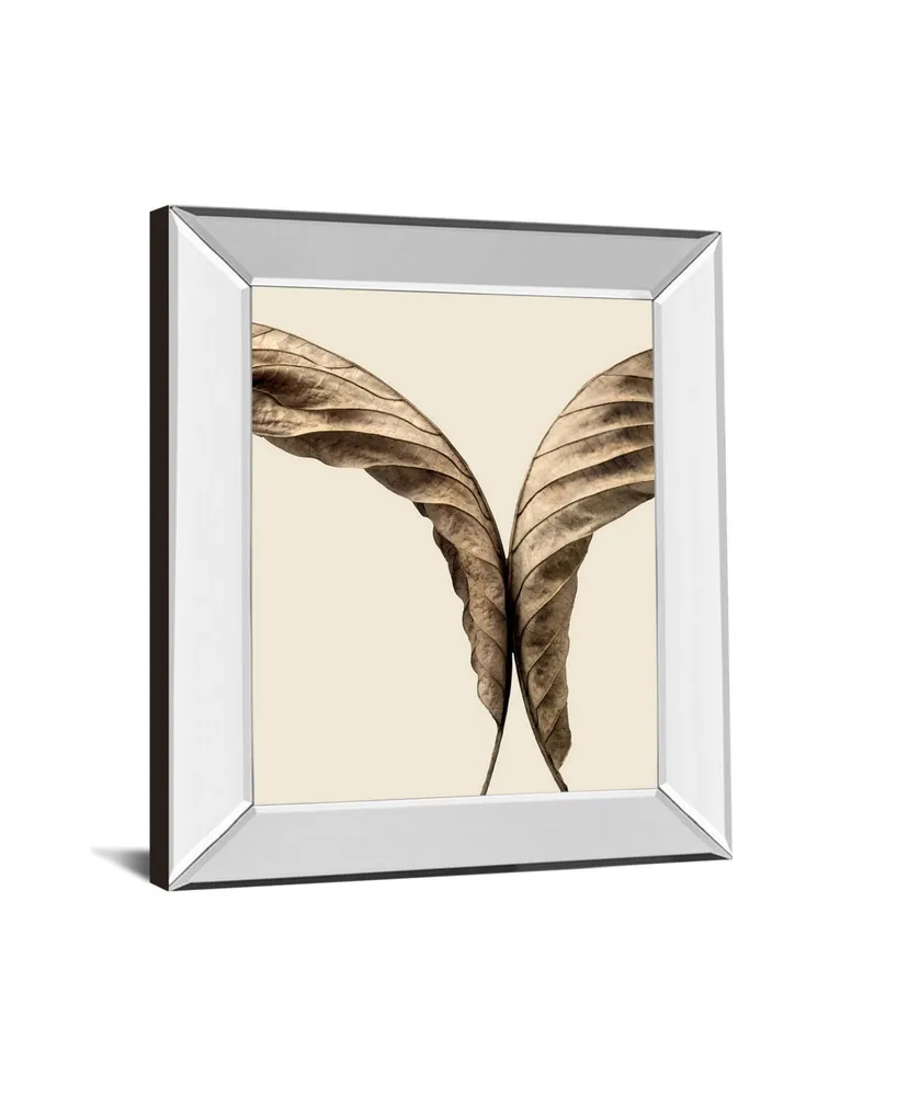 Classy Art Turning Leaves Ii by Jeff Friesen Mirror Framed Print Wall Art, 22" x 26"