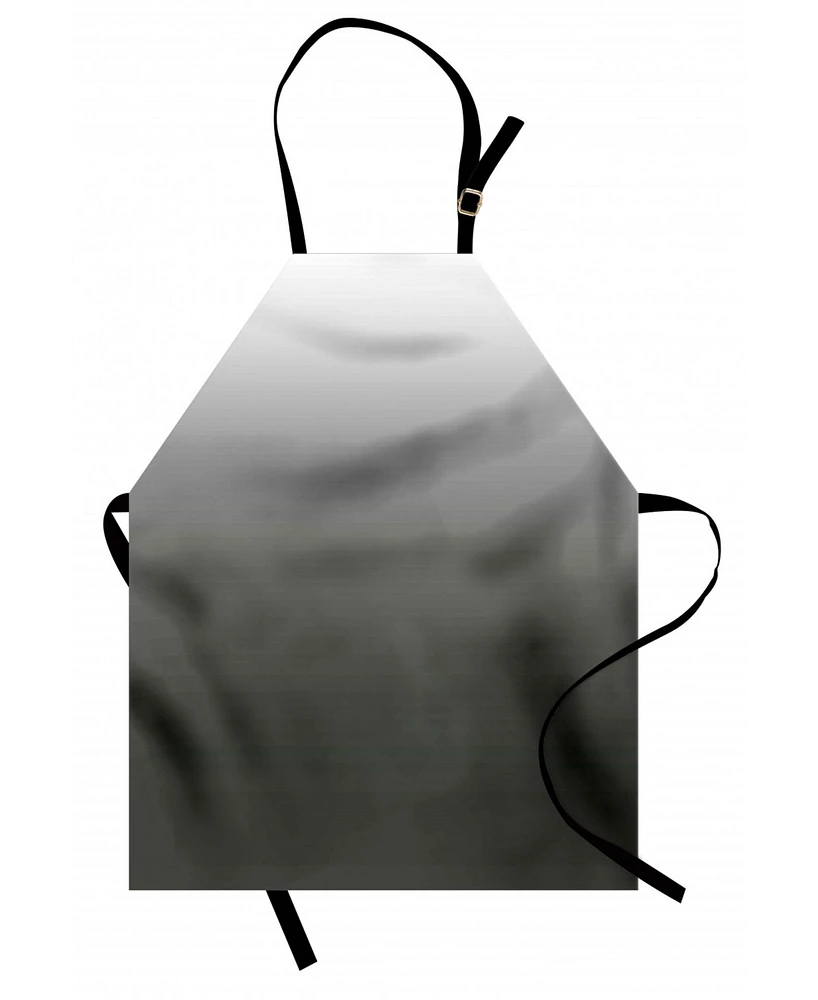 Ambesonne Ombre Apron