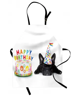 Ambesonne Birthday Party Apron
