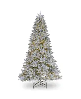 National Tree Company Iceland Fir Tree