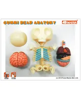 4D Master Funny Anatomy