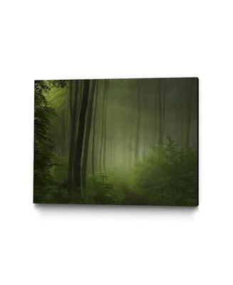 Giant Art 24" x 18" Maier - Forest Morning Museum Mounted Canvas Print