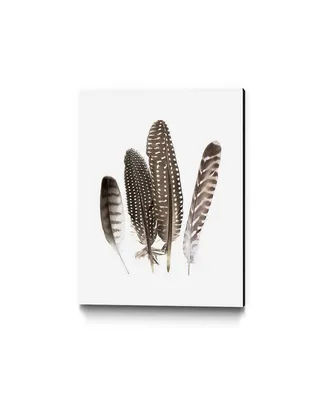 Giant Art 36" x 24" Feathers Ii Museum Mounted Canvas Print
