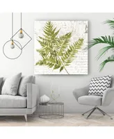 Giant Art Fern I Museum Mounted Canvas Print