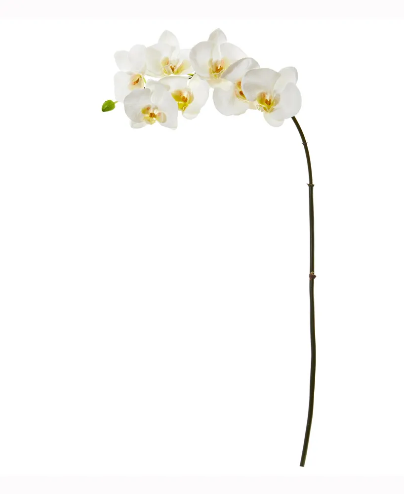 Nearly Natural 32in. Phalaenopsis Orchid Artificial Flower Set of 6